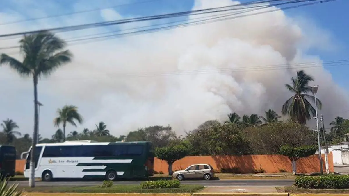 Incendio PAstizales